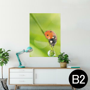|X^[ EH[XebJ[ V[XebJ[  515×728mm B2 ʐ^ tHg  CeA   wall sticker poster 000820 ĂƂ@