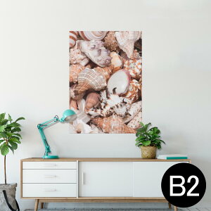 |X^[ EH[XebJ[ V[XebJ[  515×728mm B2 ʐ^ tHg  CeA   wall sticker poster 002925 C@Lk@ʐ^