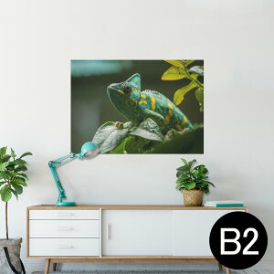 |X^[ EH[XebJ[ V[XebJ[  515×728mm B2 ʐ^ tHg  CeA   wall sticker poster 023102 COAi@ʐ^@