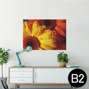 |X^[ EH[XebJ[ V[XebJ[  515×728mm B2 ʐ^ tHg  CeA   wall sticker poster 023300 ԁ@t[@Ђ܂