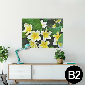 |X^[ EH[XebJ[ V[XebJ[  515×728mm B2 ʐ^ tHg  CeA   wall sticker poster 023320 ԁ@t[@vA