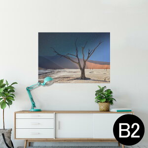 |X^[ EH[XebJ[ V[XebJ[  515×728mm B2 ʐ^ tHg  CeA   wall sticker poster 023599 iF@R@