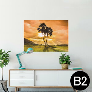 |X^[ EH[XebJ[ V[XebJ[  515×728mm B2 ʐ^ tHg  CeA   wall sticker poster 025622 V̖؁@v@R@iF