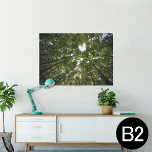 |X^[ EH[XebJ[ V[XebJ[  515×728mm B2 ʐ^ tHg  CeA   wall sticker poster 025739 R@Xс@؁@n[g