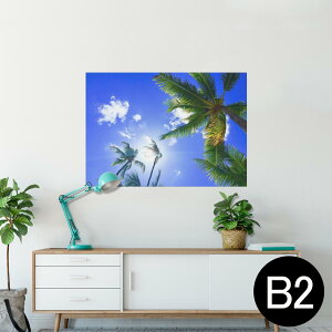 |X^[ EH[XebJ[ V[XebJ[  515×728mm B2 ʐ^ tHg  CeA   wall sticker poster 025803 V̖؁@R@t@