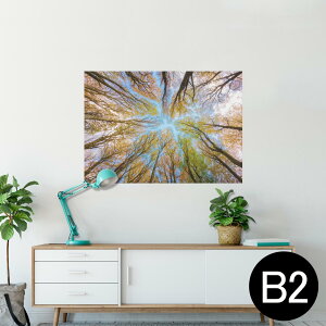|X^[ EH[XebJ[ V[XebJ[  515×728mm B2 ʐ^ tHg  CeA   wall sticker poster 025927 Xс@؁@R
