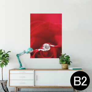 |X^[ EH[XebJ[ V[XebJ[  515×728mm B2 ʐ^ tHg  CeA   wall sticker poster 005136 ԁ@wց@KN