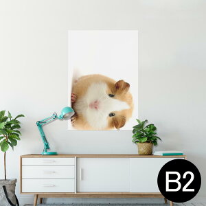 |X^[ EH[XebJ[ V[XebJ[  515×728mm B2 ʐ^ tHg  CeA   wall sticker poster 006036 Aj} ʐ^@@nX^[