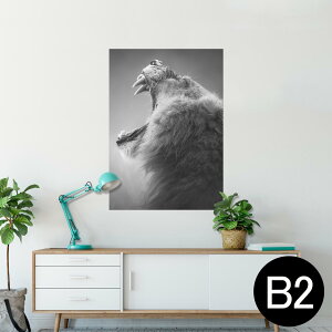 |X^[ EH[XebJ[ V[XebJ[  515×728mm B2 ʐ^ tHg  CeA   wall sticker poster 007863 ʐ^@mN@CI