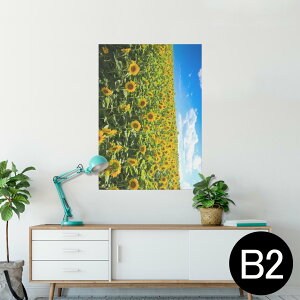 |X^[ EH[XebJ[ V[XebJ[  515×728mm B2 ʐ^ tHg  CeA   wall sticker poster 007936 ʐ^@ԁ@@@Ђ܂