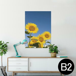|X^[ EH[XebJ[ V[XebJ[  515×728mm B2 ʐ^ tHg  CeA   wall sticker poster 009265 @Ђ܂@ʐ^