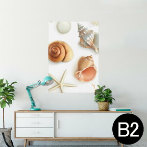 |X^[ EH[XebJ[ V[XebJ[  515×728mm B2 ʐ^ tHg  CeA   wall sticker poster 009662 Lk@C@l