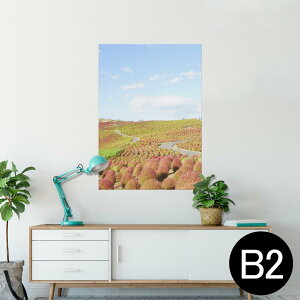 |X^[ EH[XebJ[ V[XebJ[  515×728mm B2 ʐ^ tHg  CeA   wall sticker poster 009816 i@iF@ʐ^