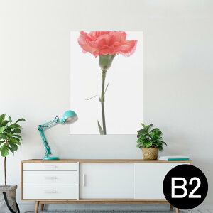 |X^[ EH[XebJ[ V[XebJ[  515×728mm B2 ʐ^ tHg  CeA   wall sticker poster 012935 ̓@J[l[V@