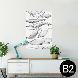 |X^[ EH[XebJ[ V[XebJ[  515×728mm B2 ʐ^ tHg  CeA  @ wall sticker poster 015827 @C@@V`