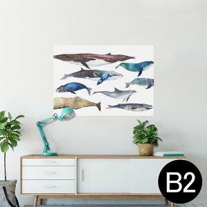 |X^[ EH[XebJ[ V[XebJ[  515×728mm B2 ʐ^ tHg  CeA  @ wall sticker poster 015836 @C@@V`