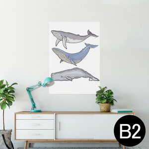 |X^[ EH[XebJ[ V[XebJ[  515×728mm B2 ʐ^ tHg  CeA  @ wall sticker poster 015851 @@C