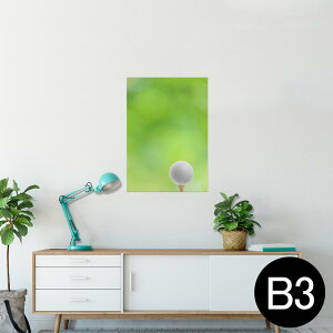 |X^[ EH[XebJ[ V[XebJ[  364×515mm B3 ʐ^ tHg  CeA   wall sticker poster 000218 St@Vbg@Ő