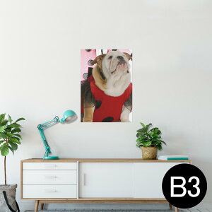 |X^[ EH[XebJ[ V[XebJ[  364×515mm B3 ʐ^ tHg  CeA   wall sticker poster 001176 @ĂƂ