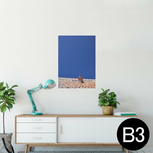 |X^[ EH[XebJ[ V[XebJ[  364×515mm B3 ʐ^ tHg  CeA   wall sticker poster 002774 @V[T[@ʐ^