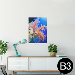 |X^[ EH[XebJ[ V[XebJ[  364×515mm B3 ʐ^ tHg  CeA   wall sticker poster 003341 C@ʐ^@iF@i