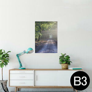 |X^[ EH[XebJ[ V[XebJ[  364×515mm B3 ʐ^ tHg  CeA   wall sticker poster 022911 i@؁@ʐ^
