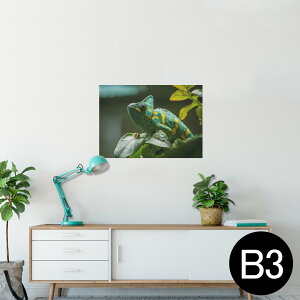 |X^[ EH[XebJ[ V[XebJ[  364×515mm B3 ʐ^ tHg  CeA   wall sticker poster 023102 COAi@ʐ^@