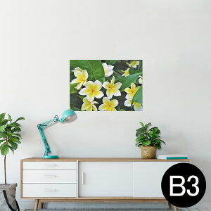 |X^[ EH[XebJ[ V[XebJ[  364×515mm B3 ʐ^ tHg  CeA   wall sticker poster 023320 ԁ@t[@vA