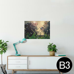 |X^[ EH[XebJ[ V[XebJ[  364×515mm B3 ʐ^ tHg  CeA   wall sticker poster 023404 ڂʁ@iF
