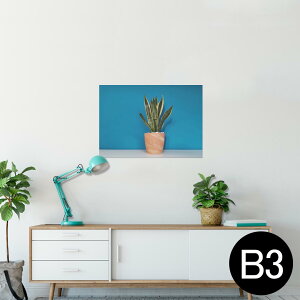 |X^[ EH[XebJ[ V[XebJ[  364×515mm B3 ʐ^ tHg  CeA   wall sticker poster 023685 A@A