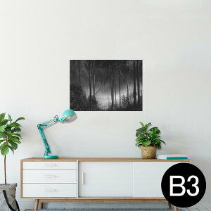 |X^[ EH[XebJ[ V[XebJ[  364×515mm B3 ʐ^ tHg  CeA   wall sticker poster 025587 Xс@mN@