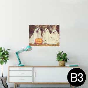 |X^[ EH[XebJ[ V[XebJ[  364×515mm B3 ʐ^ tHg  CeA   wall sticker poster 025809 nEB@ڂ@Halloween@@