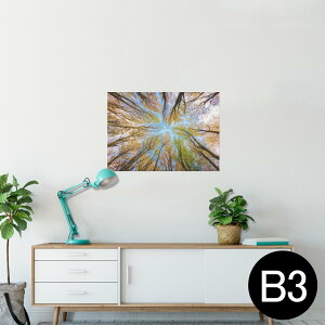 |X^[ EH[XebJ[ V[XebJ[  364×515mm B3 ʐ^ tHg  CeA   wall sticker poster 025927 Xс@؁@R