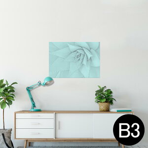 |X^[ EH[XebJ[ V[XebJ[  364×515mm B3 ʐ^ tHg  CeA   wall sticker poster 025929 A@AG