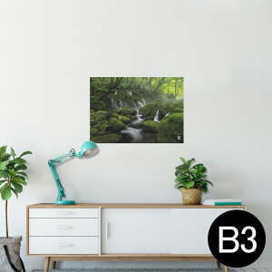 |X^[ EH[XebJ[ V[XebJ[  364×515mm B3 ʐ^ tHg  CeA   wall sticker poster 025978 Xс@@R@