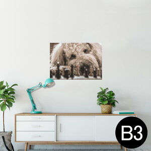 �|�X�^�[ �E�H�[���X�e�b�J�[ �V�[�����X�e�b�J�[ ���� 364×515mm B3 �ʐ^ �t�H�g �� �C���e���A ������� �������� wall sticker poster 026095 �����@���@�`�F�X