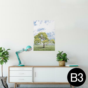 |X^[ EH[XebJ[ V[XebJ[  364×515mm B3 ʐ^ tHg  CeA   wall sticker poster 004647 ؁@@ʐ^