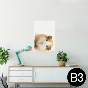 |X^[ EH[XebJ[ V[XebJ[  364×515mm B3 ʐ^ tHg  CeA   wall sticker poster 006036 Aj} ʐ^@@nX^[