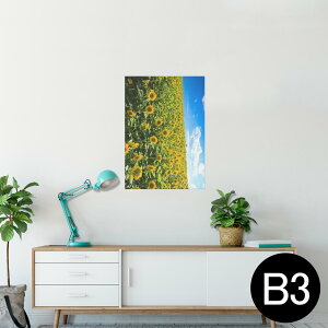 |X^[ EH[XebJ[ V[XebJ[  364×515mm B3 ʐ^ tHg  CeA   wall sticker poster 007936 ʐ^@ԁ@@@Ђ܂