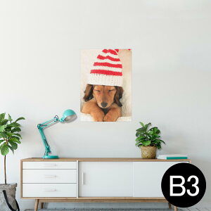 |X^[ EH[XebJ[ V[XebJ[  364×515mm B3 ʐ^ tHg  CeA   wall sticker poster 008439 ʐ^@@Xq@ԁ@bh