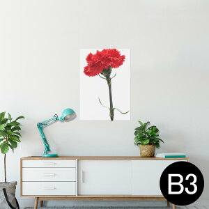 |X^[ EH[XebJ[ V[XebJ[  364×515mm B3 ʐ^ tHg  CeA   wall sticker poster 012928 ̓@J[l[V@