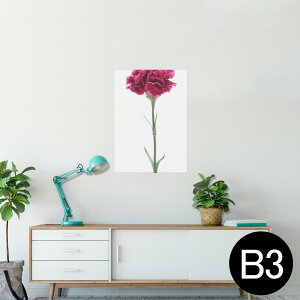 ポスター ウォールステッカー シール式ステッカー 飾り 364×515mm B3 写真 フォト 壁 インテリア おしゃれ 剥がせる wall sticker poster 012933 母の日 カーネーション 花