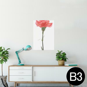 |X^[ EH[XebJ[ V[XebJ[  364×515mm B3 ʐ^ tHg  CeA   wall sticker poster 012935 ̓@J[l[V@