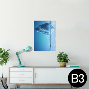 |X^[ EH[XebJ[ V[XebJ[  364×515mm B3 ʐ^ tHg  CeA   wall sticker poster 014978 iF@R@i@CXg@_@C