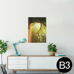 |X^[ EH[XebJ[ V[XebJ[  364×515mm B3 ʐ^ tHg  CeA   wall sticker poster 014991 iF@R@i@ʐ^@؁@