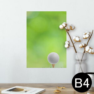 |X^[ EH[XebJ[ V[XebJ[  257×364mm B4 ʐ^ tHg  CeA   wall sticker poster 000218 St@Vbg@Ő