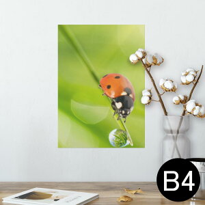 |X^[ EH[XebJ[ V[XebJ[  257×364mm B4 ʐ^ tHg  CeA   wall sticker poster 000820 ĂƂ@