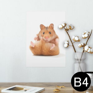 |X^[ EH[XebJ[ V[XebJ[  257×364mm B4 ʐ^ tHg  CeA   wall sticker poster 001075 nX^[@