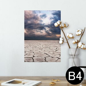 |X^[ EH[XebJ[ V[XebJ[  257×364mm B4 ʐ^ tHg  CeA   wall sticker poster 002578 iF@i@ʐ^