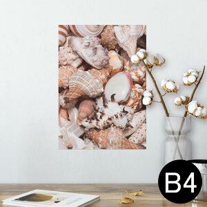 |X^[ EH[XebJ[ V[XebJ[  257×364mm B4 ʐ^ tHg  CeA   wall sticker poster 002925 C@Lk@ʐ^